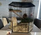 HAMSTER knaagdieren HOK + spulletjes, Dieren en Toebehoren, Gebruikt, Minder dan 75 cm, Ophalen, Minder dan 60 cm
