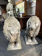 Oude stenen ,tuinbeelden, set van 2 leeuwen., Ophalen, Gebruikt, Steen, Dierenbeeld