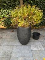 Capi plantenbak, Tuin en Terras, Bloembakken en Plantenbakken, Ophalen, Kunststof, Rond, Tuin