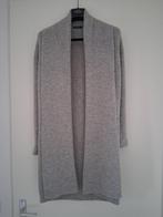 damesvest, Kleding | Dames, Truien en Vesten, Ophalen of Verzenden, Nieuw, Maat 46/48 (XL) of groter, Grijs