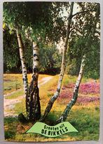 Groeten uit De Bikkels, Ophalen of Verzenden, Gelopen, Noord-Brabant