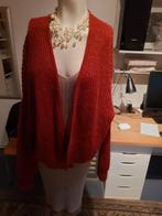 Rode Gebreide Cardigan - Maat L, Kleding | Dames, Truien en Vesten, Sissyboy, Maat 42/44 (L), Ophalen of Verzenden, Zo goed als nieuw