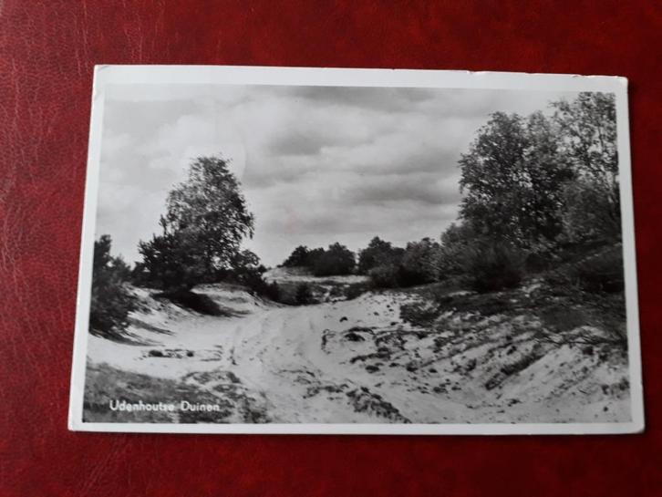 Udenhout Duinen (548), Verzamelen, Ansichtkaarten | Nederland, Gelopen, Noord-Brabant, 1940 tot 1960, Ophalen