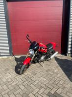 Ducati Monster 750, Bedrijf, Meer dan 35 kW, Toermotor, 748 cc
