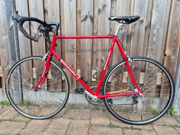 Te koop racefiets Gazelle Reynolds 525  ( 62 cm ) beschikbaar voor biedingen