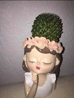 Schattig mini cactus met bloempot engel gezicht flower, Tuin en Terras, Bloempotten, Nieuw, Ophalen of Verzenden