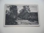 VELP  >  BERKENLAANTJE BEEKHUIZEN   BRIEFKAART, Verzenden, Voor 1920, Ongelopen, Gelderland
