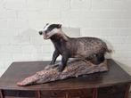 Opgezette Das op Houten Sokkel - Antiek Decoratie Object, Verzamelen, Dierenverzamelingen, Ophalen, Gebruikt, Opgezet dier
