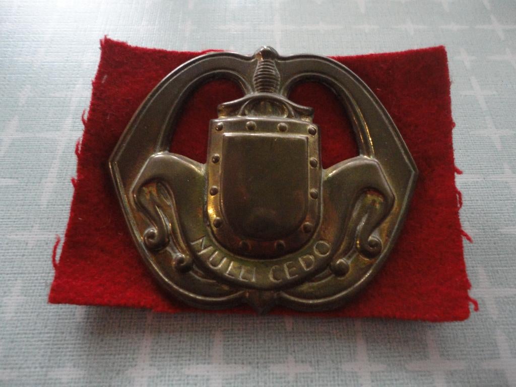 NL Baret embleem, Infanterie met pennen, 1950, Verzenden, Landmacht, Nederland, Embleem of Badge