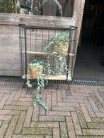 Leuk Wandrek voor Woonkamer/Slaapkamer, Huis en Inrichting, Ophalen, Zo goed als nieuw