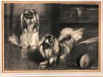 Mooie litho van pekinezen door Theo Dijkwel kunstprint hond, Verzenden