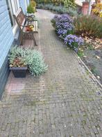 Waaltjes; 15x7,5x5; ca 100m2, Tuin en Terras, Ophalen, Gebruikt