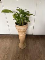 Planten Zuil met Plant en Pot, Huis en Inrichting, Woonaccessoires | Zuilen en Pilaren, Ophalen of Verzenden, Zo goed als nieuw