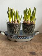 Franse emaille bakje blauwe ruit, Ophalen of Verzenden