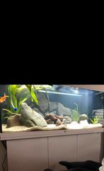 Juwel aquarium met onderkast 180Liter, Dieren en Toebehoren, Ophalen, Gebruikt
