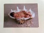 Anne Geddes 1999 kaart: A207 Clam Shell Baby, Ongelopen, Kinderen, Ophalen of Verzenden, 1980 tot heden