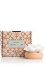 Passive diffuser - DōTERRA Desert Bloom [NEW/Unused], Sport en Fitness, Gezondheidsproducten en Wellness, Ophalen of Verzenden