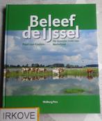BELEEF DE IJSSEL * Paul van Gaalen *, Verzenden, 20e eeuw of later, Zo goed als nieuw, Paul van Gaalen