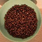 Palmboom zaden ***nieuwe oogst***, Ophalen