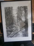 Tekening van een Boswandeling door Hans KOGLER, Antiek en Kunst, Kunst | Tekeningen en Foto's, Ophalen