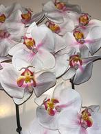 Mooie Orchidee Takken - zijden bloemen, Ophalen of Verzenden, Zo goed als nieuw, Binnen