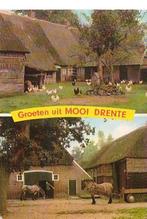 Ansichtkaart 	Drenthe	2-luik	Paarden	Kippen, Verzenden, 1980 tot heden, Gelopen, Drenthe