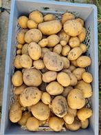 Nieuwe oogst aardappelen frieslanders, Diversen, Levensmiddelen, Ophalen