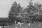 Driebergen, Hertenkamp, Verzamelen, Ansichtkaarten | Nederland, Verzenden, Voor 1920, Gelopen, Utrecht