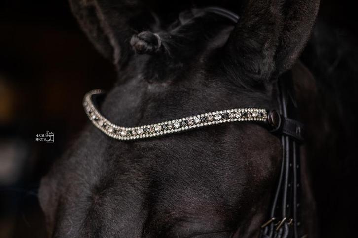 L'Anique Click&Go Frontriem Grey Tricolor, Dieren en Toebehoren, Paarden en Pony's | Hoofdstellen en Tuigage, Nieuw, Overige soorten