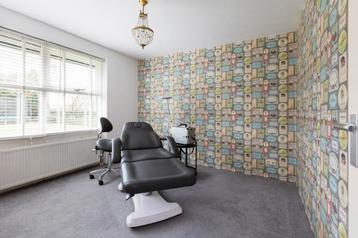 Professionele behandelstoel nieuw beschikbaar voor biedingen