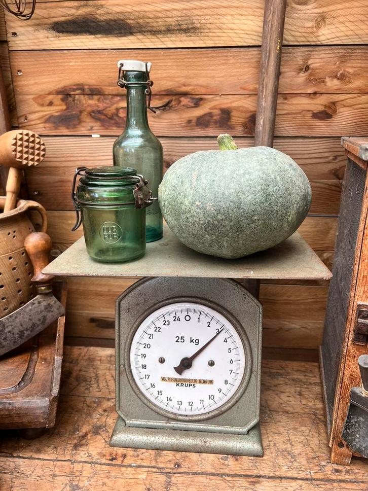 Groene Krups ijzeren weegschaal met plateau keukenweegschaal, Antiek en Kunst, Antiek | Keukenbenodigdheden, Ophalen of Verzenden