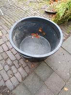 Waterbak / Vijver - Kikkerparadijs & Vogelbad, Ophalen, Kunststof, Gebruikt, Rond