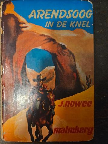 Arendsoog in de knel - J. Nowee beschikbaar voor biedingen