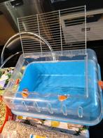 2 kooien met veel buizen / veel accessoires, Dieren en Toebehoren, Kooi, Gebruikt, Minder dan 75 cm, Hamster