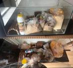 Complete Hamsterkooi, Minder dan 60 cm, Kooi, Ophalen of Verzenden, Hamster