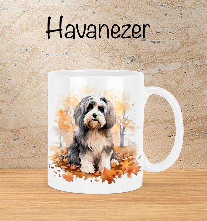 Havanezer Herfstmok, Huis en Inrichting, Keuken | Servies, Nieuw, Kop(pen) en/of Schotel(s), Overige stijlen, Ophalen of Verzenden