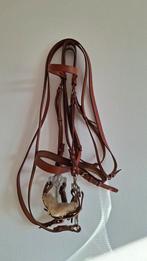 Paardenhoofdstel bitloos met Engelse hackemoor. Nieuw, Dieren en Toebehoren, Ophalen of Verzenden, Nieuw, Overige soorten