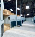 Pensionstalling en training, Dieren en Toebehoren, Stalling en Weidegang