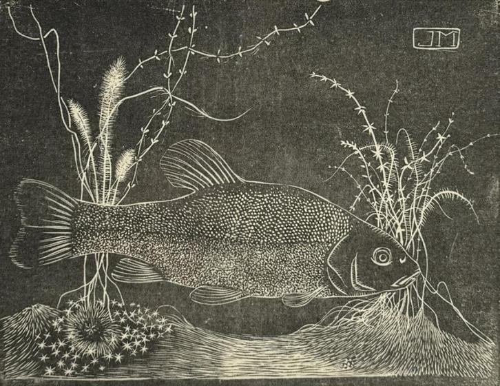 578. Houtsnede, Jan Mankes, 1927, Nederland, Antiek en Kunst, Kunst | Etsen en Gravures, Ophalen of Verzenden