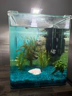 30L nano-aquarium compleet, Dieren en Toebehoren, Vissen | Aquaria en Toebehoren, Ophalen, Zo goed als nieuw