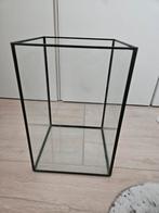Glazen displaybox vitrine, Huis en Inrichting, Woonaccessoires | Overige, Ophalen, Zo goed als nieuw