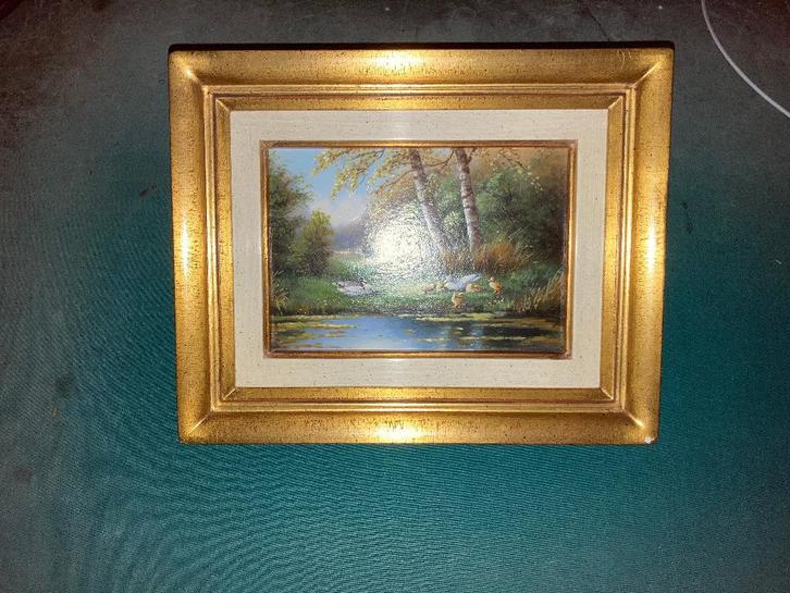 Janny Meyer Eenden Schilderij, Antiek en Kunst, Kunst | Overige Kunst, Ophalen of Verzenden