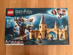 Lego Harry Potter 75953 Beukwilg, Kinderen en Baby's, Speelgoed | Duplo en Lego, Ophalen of Verzenden, Nieuw