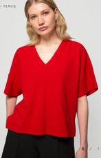 Prachtig rood t-shirt Vanilia maat 38, Kleding | Dames, T-shirts, Maat 38/40 (M), Ophalen of Verzenden, Zo goed als nieuw, Korte mouw