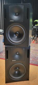 GENELEC 1032 ZGAN SET, Audio, Tv en Foto, Ophalen, Zo goed als nieuw, Audio