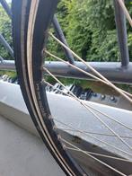 Velgen. Fietsvelgen. Spectra SWC 9x4. 26 inch., Ophalen, Gebruikt, Algemeen, Wiel