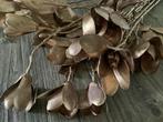 NIEUW goudkleurige Magnolia kunstbloemen, Nieuw, Ophalen of Verzenden