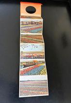 Vintage Grote Leporello Kaart Groeten uit Bloembollenvelden, Verzamelen, Ophalen of Verzenden, 1960 tot 1980, Noord-Holland