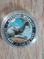 Coloured Somali Wildlife Elephant munt 2023 / 999,9 zilver, Verzenden, Overige landen, Zilver