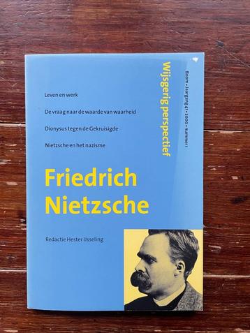 Hester IJsseling Friedrich Nietzsche 2000 beschikbaar voor biedingen